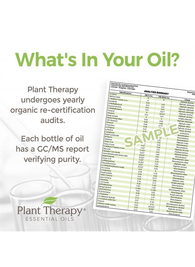 Plant Therapy Ylang Ylang Complete Organic Essential Oil 100% Pure, Undiluted, Natural Aromatherapy, Therapeutic Grade 10 mL (1/3 oz) - Image 2