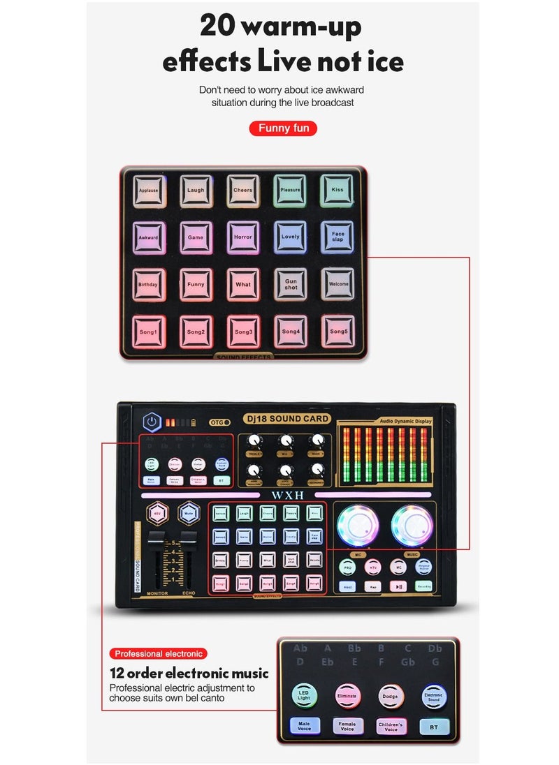Sunbmebge - WXH Professional Sound Card Game Microphone Mobile Karaoke Live Computer Mixing Dj Tuning Live Full Equipment - Image 1