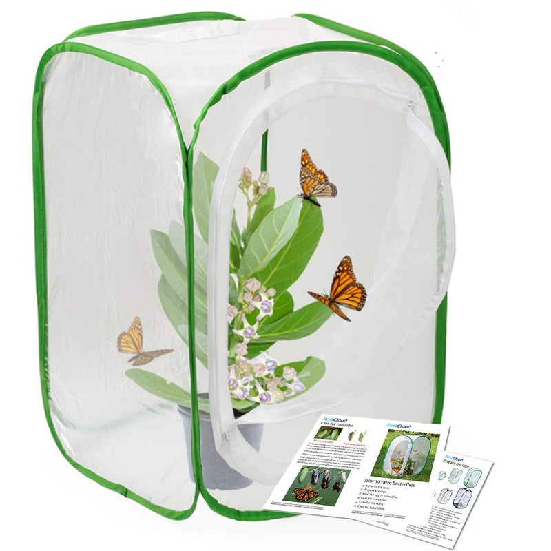 RESTCLOUD Insect and Butterfly Habitat Cage Terrarium Popup 24 Inches Tall with Zipper Protection - Image 2