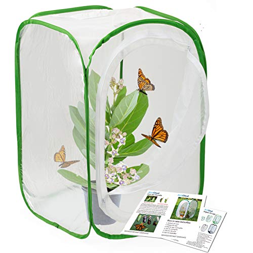RESTCLOUD Insect and Butterfly Habitat Cage Terrarium Popup 24 Inches Tall with Zipper Protection - Image 1