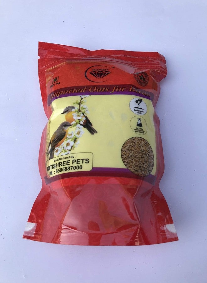 بذور الشوفان الممتازة المستوردة من نيتيشري® (250 جم) طعام للطيور، مناسب لجميع أنواع الطيور: العصافير، الببغاوات الأسترالية، الببغاوات الصغيرة، طيور الحب، الكوكاتيل، الببغاء الرمادي الأفريقي، المكاو، والكوكاتو. - Image 2