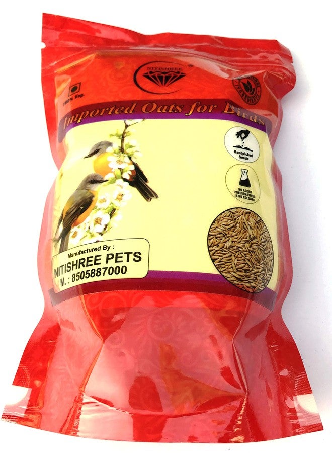 بذور الشوفان الممتازة المستوردة من نيتيشري® (250 جم) طعام للطيور، مناسب لجميع أنواع الطيور: العصافير، الببغاوات الأسترالية، الببغاوات الصغيرة، طيور الحب، الكوكاتيل، الببغاء الرمادي الأفريقي، المكاو، والكوكاتو. - Image 1