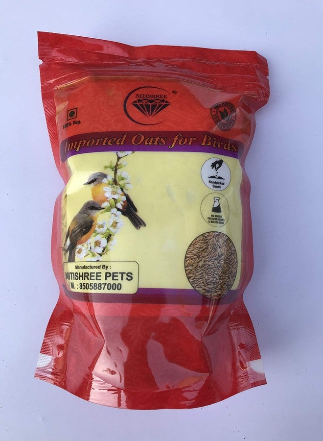 بذور الشوفان الممتازة المستوردة من نيتيشري® (250 جم) طعام للطيور، مناسب لجميع أنواع الطيور: العصافير، الببغاوات الأسترالية، الببغاوات الصغيرة، طيور الحب، الكوكاتيل، الببغاء الرمادي الأفريقي، المكاو، والكوكاتو. - Image 3