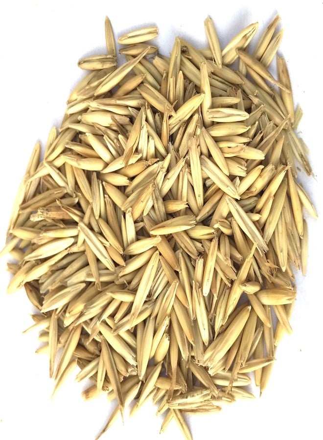 بذور الشوفان الممتازة المستوردة من نيتيشري® (250 جم) طعام للطيور، مناسب لجميع أنواع الطيور: العصافير، الببغاوات الأسترالية، الببغاوات الصغيرة، طيور الحب، الكوكاتيل، الببغاء الرمادي الأفريقي، المكاو، والكوكاتو. - Image 4