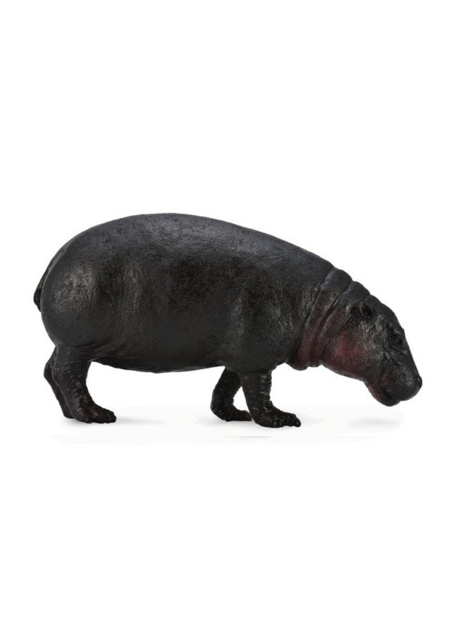 Collecta - Pygmy Hippopotamus - 88686