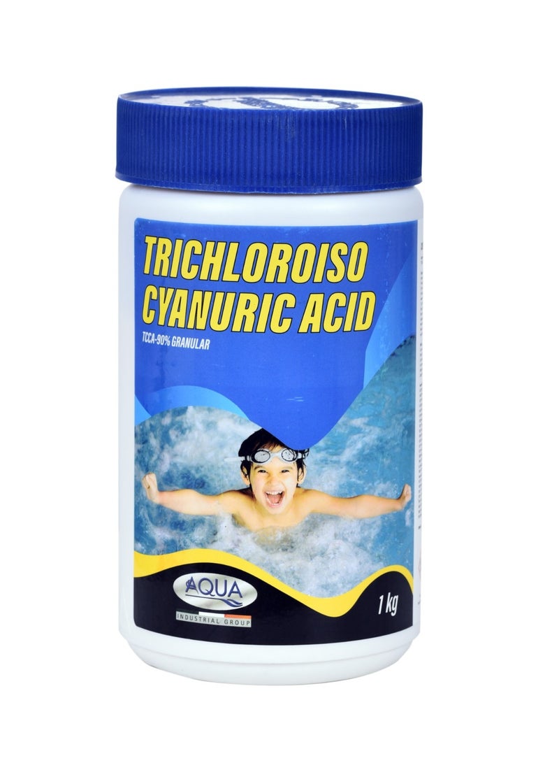 Aqua Pool Chlorine Granular 1 kg - Image 1