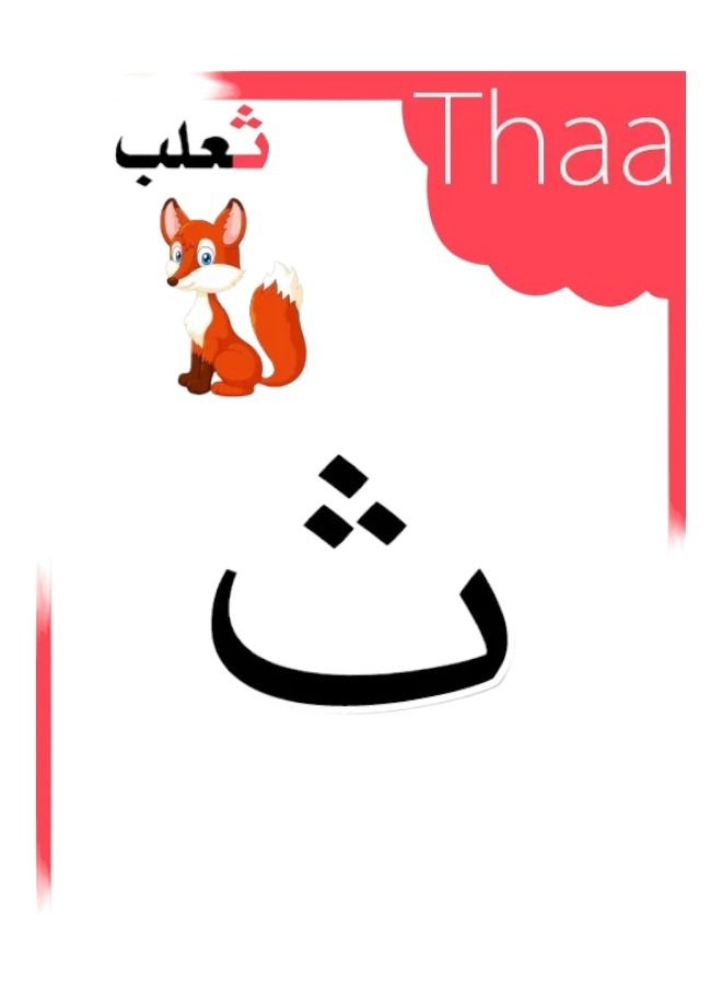 Generic Learning Arabic Alphabets Magnetic  Flash cards  with Animal figures 28pcs Educational Toy For Kids Age 1+  - Image 5