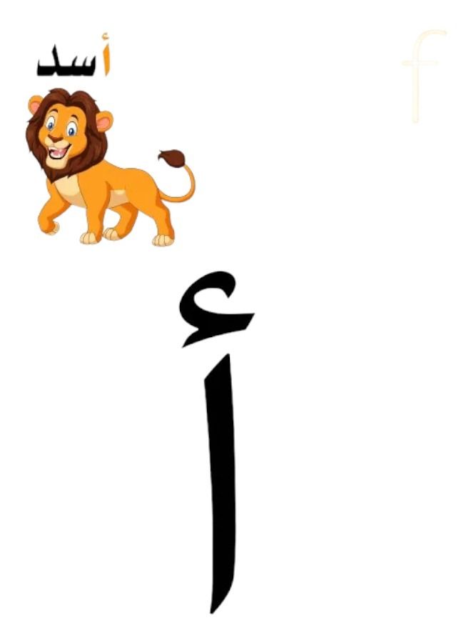 Generic Learning Arabic Alphabets Magnetic  Flash cards  with Animal figures 28pcs Educational Toy For Kids Age 1+  - Image 2