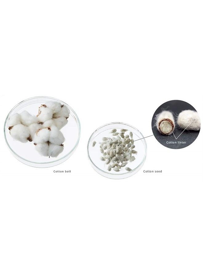 When Simply Snow Song Brighten Facial Sheet Mask for Dull Looking Skin - 1 Count - Image 3
