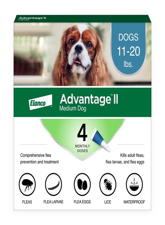 Advantage II Medium Dog Vet-Recommended Flea Treatment & Prevention | Dogs 11-20 lbs. | 4-Month Supply - Image 1
