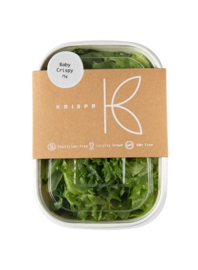 Baby Crispy Lettuce, 75g, UAE