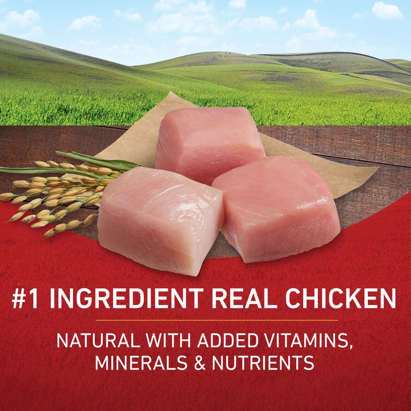 Purina ONE Chicken and Rice Formula Dry Dog Food - 8 lb. Bag - Image 3