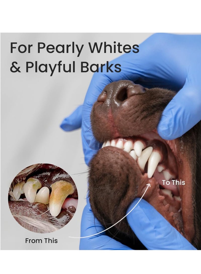 Bioline Tooth Paste Chicken Flavor For Dogs 2X100g - Image 3