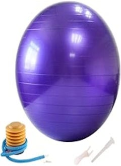 Aleesh Purple Color 65cm-Exercise-Fitness-Aerobic-Ball-for-GYM-Yoga-Pilates-Pregnancy-Birthing - pzsku/Z35679F84F1B131A7897CZ/45/_/1722023355/4124b2ee-bc6f-4392-b2d6-2fe880783593