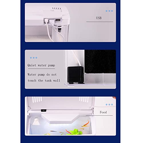 Carefree Fish 1.2Gallon Small Fish Tank Office USB Aquarium LED Light with Filter (Include Sand and Tiny Buddha) for Small Fish and Shrimp - Image 4