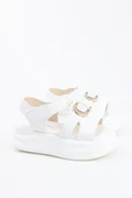 فيني WHITE