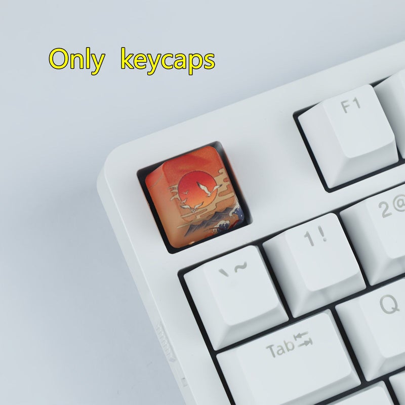 Coral Themed 2Pcs Keycaps Set OEM Profile PBT Sublimation ESC Space Cherry - Image 4