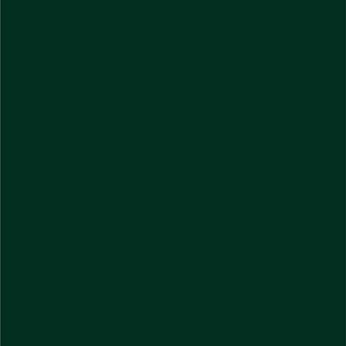 Dupli-Color EBCC04237 Perfect Match Automotive Spray Paint – Chrysler Forest Green Pearl, PG8 – 8 oz. Aerosol Can - Image 2