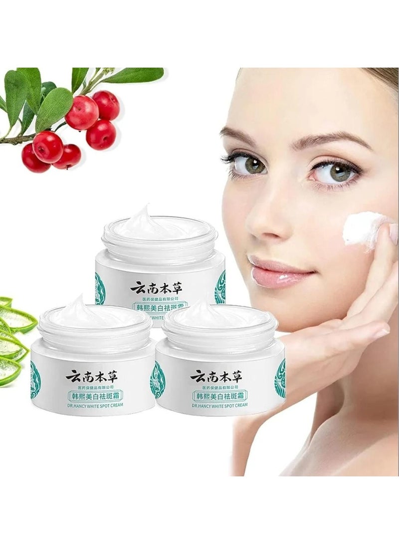 Hancy Japanese Melasma Cream Dr. Hansi White Spot Cream China, Dr. Hansi White Spot Correction Cream, Chinese Dark Spot Correction Cream Dr. Hansi Prevent White Spots for Dry and Sensitive Skin by Hansi-3pcs - Image 1