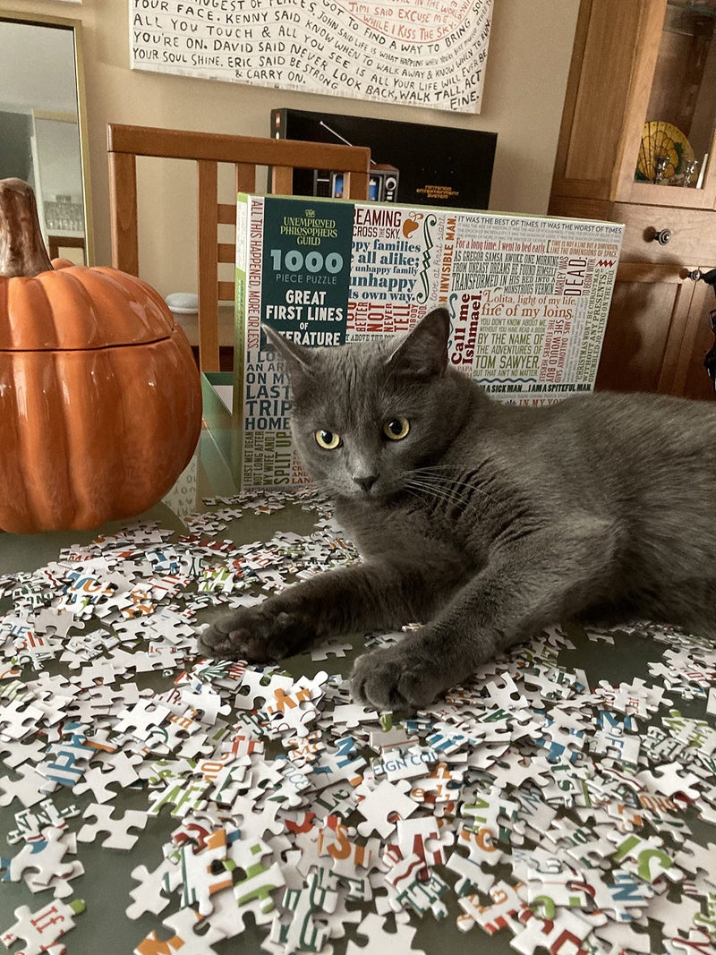 The Unemployed Philosophers Guild First Lines of Literature Jigsaw Puzzle - 1000 Pieces - Includes Mini Poster with Puzzle Art - Image 3