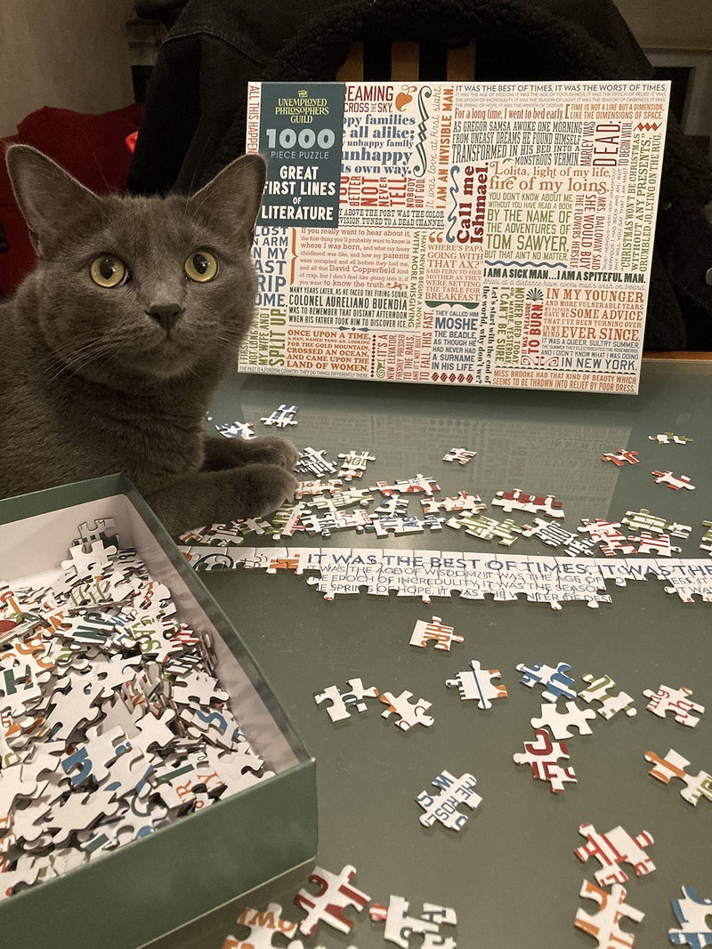 The Unemployed Philosophers Guild First Lines of Literature Jigsaw Puzzle - 1000 Pieces - Includes Mini Poster with Puzzle Art - Image 4
