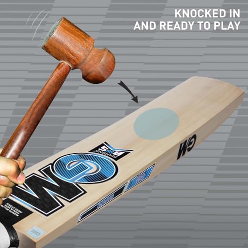 GM Diamond Striker Kashmir Willow Cricket Bat with Cross Weave Tape on the Face, Size-4 - Image 4