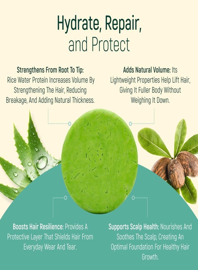 BAMBOEARTH Solid Rice Protein Water Shampoo Bar With Conditioner Effect Hair Soap - Shampoo Bars For Hair With All Natural Plant Based Essential Oils And Zero Waste Packaging (Aloe Vera) - Image 5