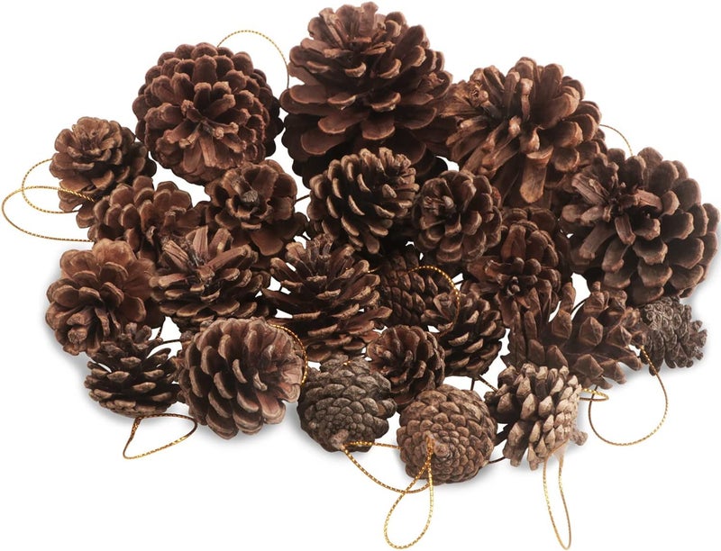 Big Box 6 Piece Mini Pine Cones Christmas PineCones Natural Hanging Ornament 34cm Pine Cones Pendant with String Tag Decoration - Image 5
