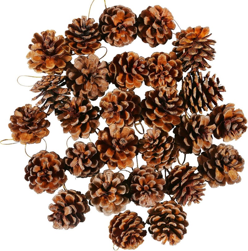 Big Box 6 Piece Mini Pine Cones Christmas PineCones Natural Hanging Ornament 34cm Pine Cones Pendant with String Tag Decoration - Image 4
