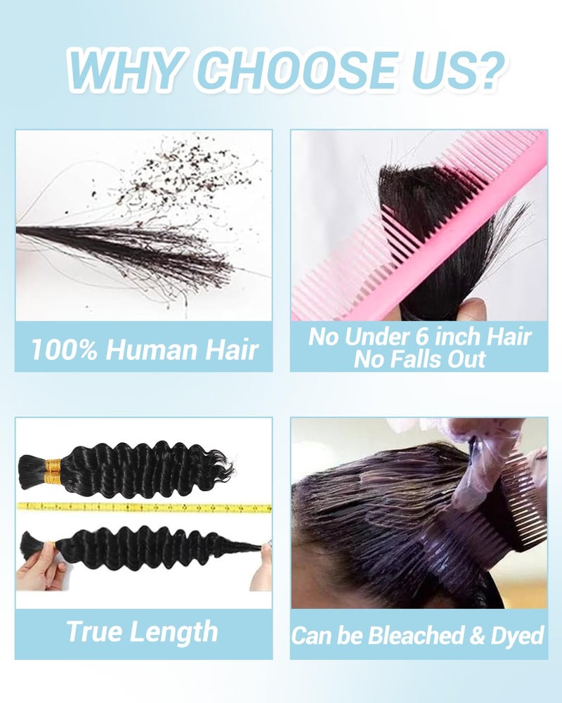 Flagship Human Braiding Hair for Boho Braids 16 Inch 2 Bundles 100g Deep Wave Bulk Human Boho Hair for Braiding 12A Virgin Curly Human Hair for Boho Knotless Braids Human Hair Bundles P27/613 - Image 4