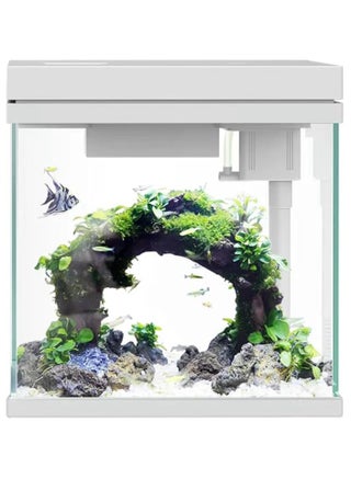 7.5L (2 Gallons) Small Aquarium Fish Tank, Compact Eco Aquarium, Glass Aquarium, Desktop Fish Tank, Tropical Fish Tank With Lighting, Filtration, Waving and Aeration (25 Cm Wide) - pzsku/Z35723F2A6A66A43C2C35Z/45/_/1726297423/093f8dda-92ba-4dfa-a86c-3c0f6a435eb2