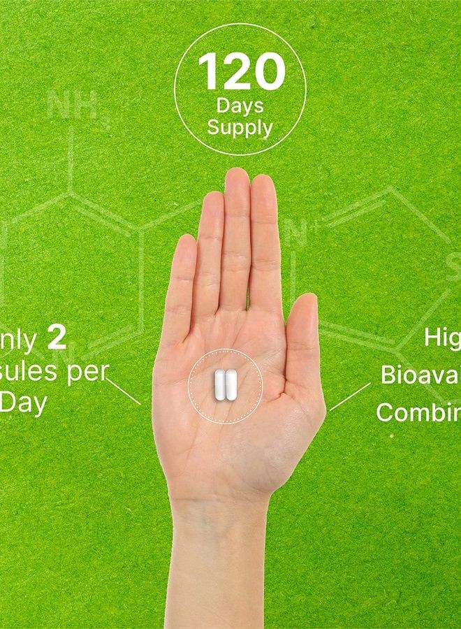 Eagleshine Vitamins فيتامين ب1 500 ملغ مع بنفوتيامين، 240 كبسولة – صيغة محسّنة 2 في 1 – مكمل ثيامين ب1 قابل للذوبان في الدهون والماء – مختبر من طرف ثالث، غير معدّل وراثيًا، خالي من الغلوتين - Image 5
