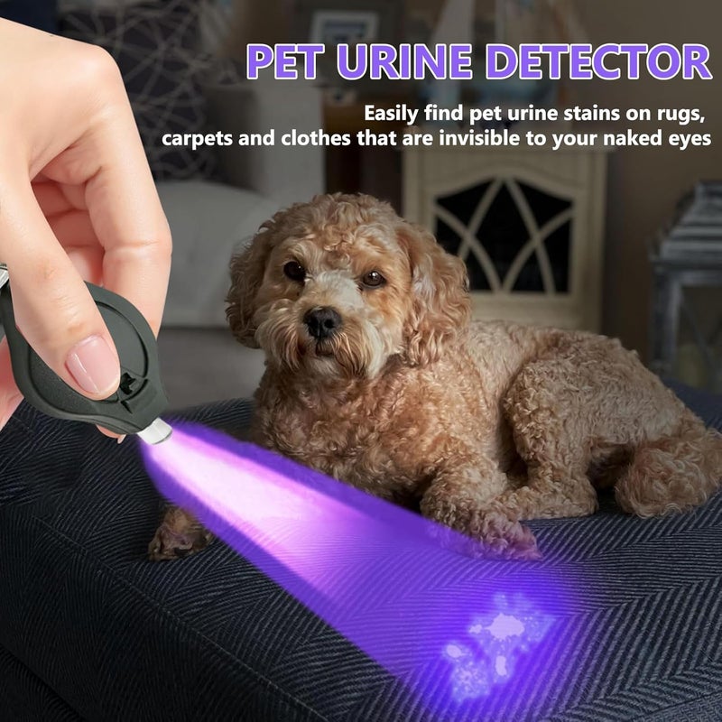 Modurio Mini Keychain Flashlight for Counterfeit Money Detection - UV Light Torch for Note Checking - 6-Pack Black Light Mini LED Flashlight - Image 5