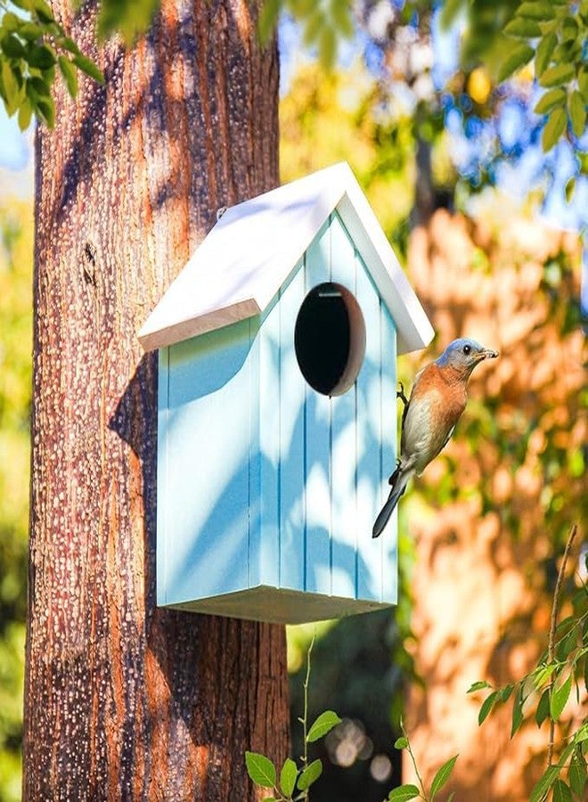 LIVEONCE Wooden Multi Color Bird House Color Blue REQULAR - Image 3