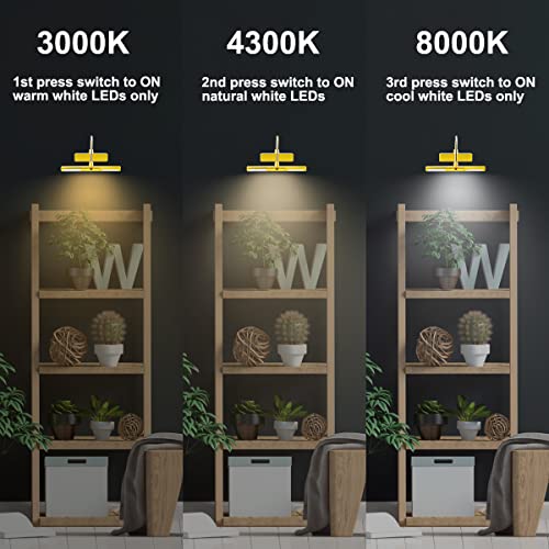 BIGLIGHT Wireless Battery Operated LED Picture Light with Remote, Rotatable Light Heads of 3 Lighting Modes, Dimmable Display Lamp with Timer for Painting Photo Portrait Art, 8.8", Gold - Image 3