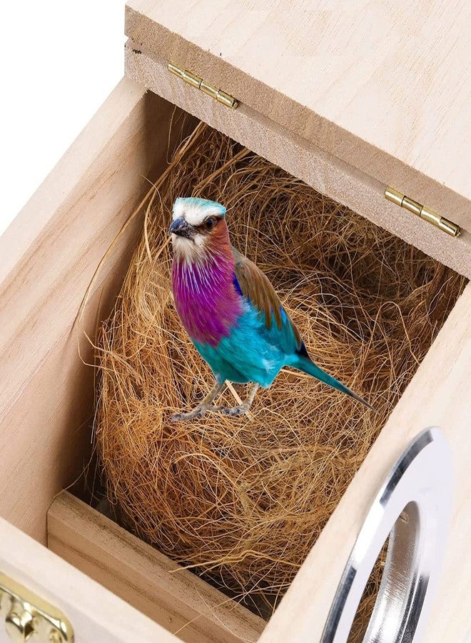 One Top Natural Pure Organic Coconut Fiber for Bird Breeding Box Cage Bird Egg Hatching Inside,Pet Animal Breeding Fiber Other Decoration Hand Craft Purpose Fiber - Image 2