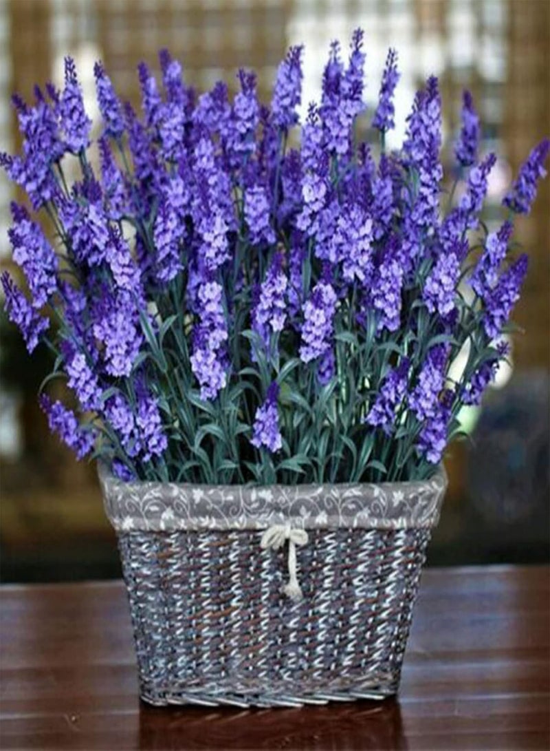 GGOOT Semi di Lavanda 50 pz borsa Grande | Piantine di Lavanda Naturale per l'abimento Non OGM Lavanda 1size