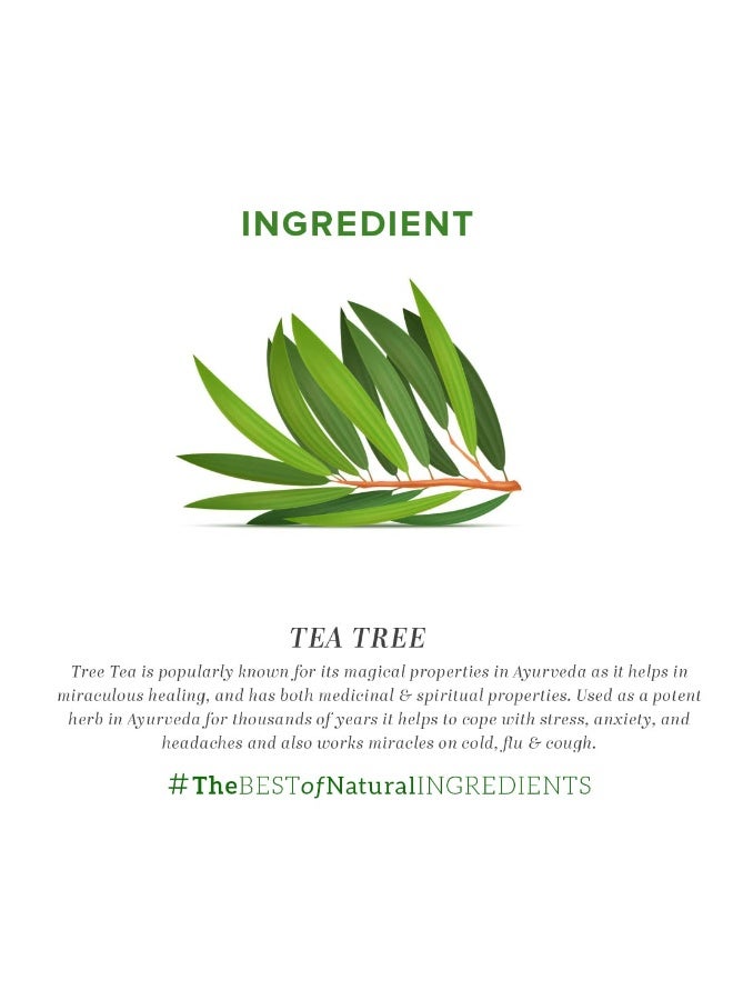 كادي نيتشورال زيت شجرة الشاي الطبيعي النقي من خادي 15 مل - Image 5