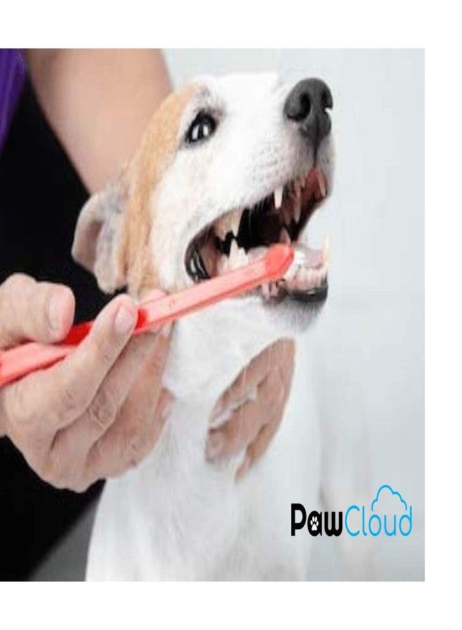 PetWag Dog Toothbrush, Pack of 2 - Image 5