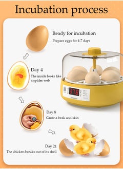 DUNISO Egg Incubator, Fully Automatic 6 Egg Poultry Incubator with Automatic Egg Flipping And Temperature Control, Equipped with A Spray Bottle, Suitable for Incubating Chickens, Ducks, and Geese, 171 * 142MM  - Image 2
