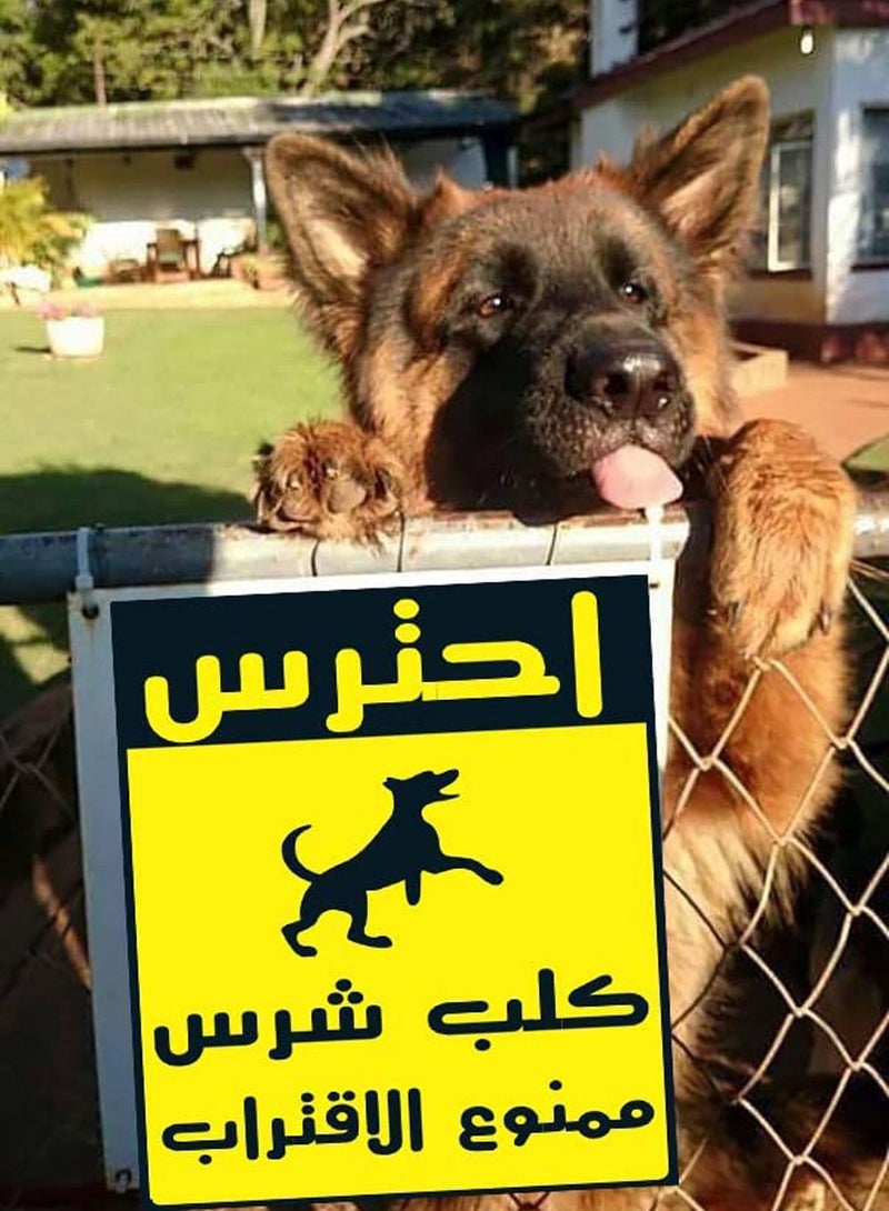 اب تو ديت  يافطة ارشادية تحذير من الاقتراب لوجود كلب شرس لابواب الفيلا والاماكن المحظورة تصنيع اب تو ديت مصر - Image 3