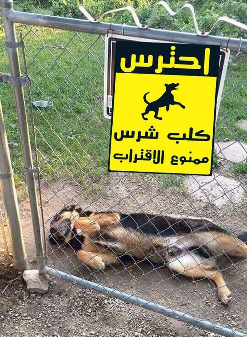 اب تو ديت  يافطة ارشادية تحذير من الاقتراب لوجود كلب شرس لابواب الفيلا والاماكن المحظورة تصنيع اب تو ديت مصر - Image 2