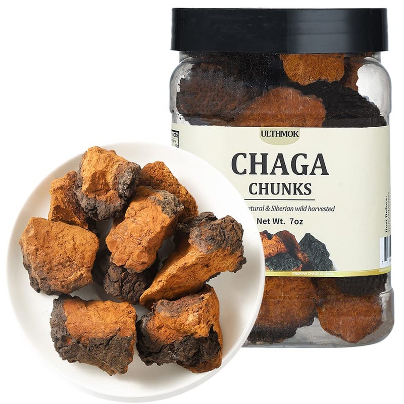 Premium Chaga Mushroom Chunks 7 Oz199gSelected Natural Chaga Mushroom Tea100 Siberian Wild Harvested