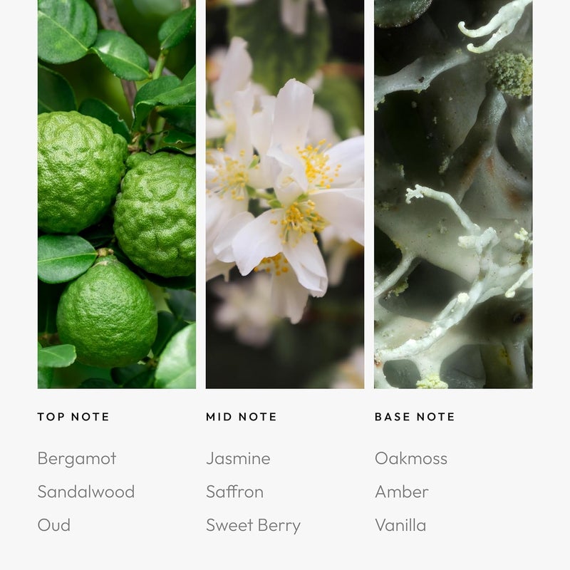 AROMA360 Chandelier Fragrance Oil for Scent Diffuser (120mL) - Image 3