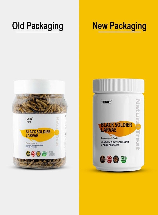 TUNAI BSFL Larvae |100G| 60X More Calcium Than Meal Worms, Fish Food for Oscar, Arowana, Flowerhorn, Adult Turtle, Tortoise and Other Reptiles - Image 2