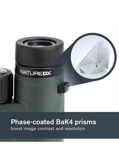 Celestron – Nature DX 10x32 Binoculars – Outdoor and Birding Binocular  - Image 3