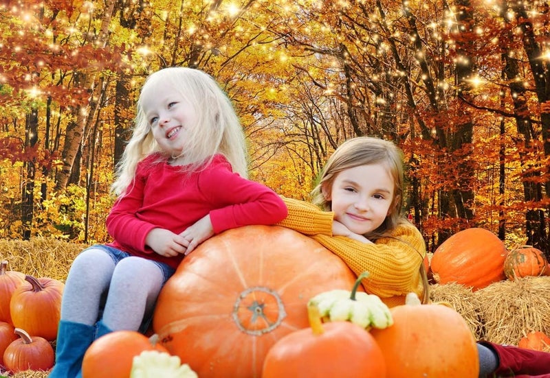 Al Raied ARS® 8x6 FT Autumn Thanksgiving Photography Backdrop - Fall Maple Leaves Pumpkin Background - Image 4