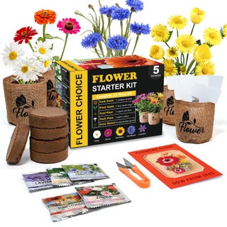 Indoor Daisy Garden Starter Kit with Gardening Tools - Jute Bags, Markers, Soil Disks and Shears, Home Gardening Gifts for Women Men Plant Lovers - pzsku/Z35810295B2EAA8C2892EZ/45/1749373390/2e3e1c2c-6f33-4ab5-9e11-9fef38fdb1eb