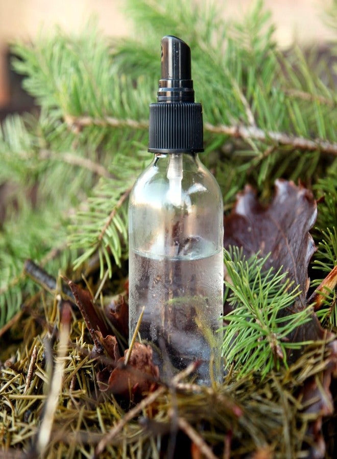 evanhealy Douglas Fir HydroSoul | Organic Copper Distilled Hydrosol for Dull, Devitalized, Sensitive & Congested Skin | Calming, Purifying & Uplifting - Image 2