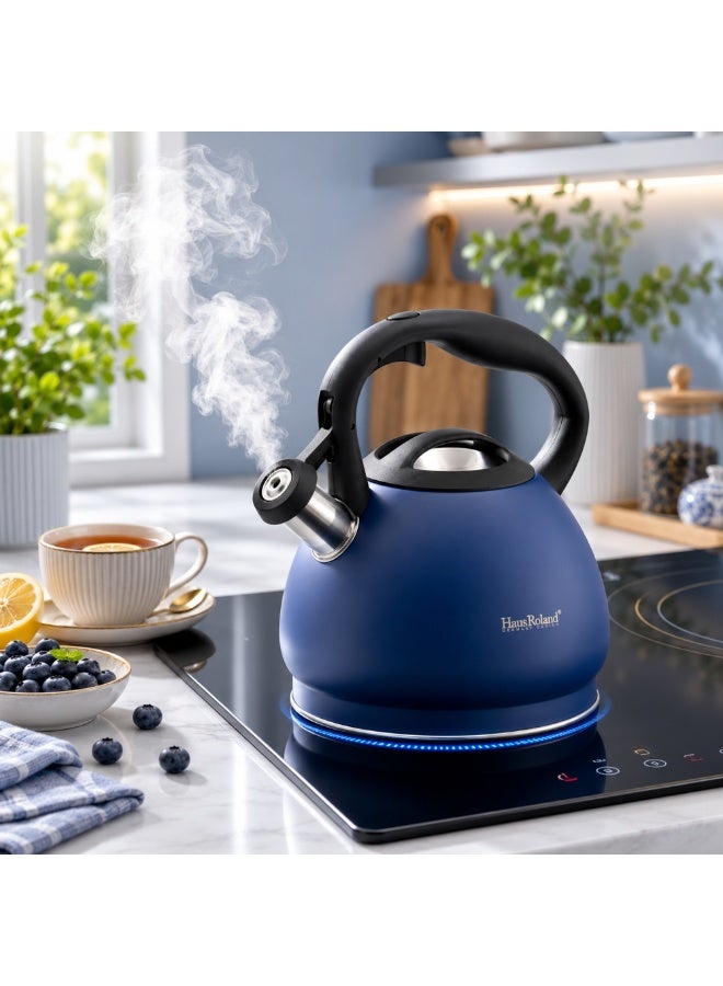 HausRoland Haus Roland Whistling Kettle, Stainless Steel Tea Kettle, 3 Liters, Whistling Teapot, Ergonomic Handle Teapot, Lid with Nylon Knob, Suitable For Induction and Gas., Full Matte Design (Blue) (Blue) - Image 3